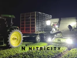 California-based Nitricity Secures Investment from Chipotle Mexican Grill. Funding from Cultivate Next will be used to scale up Nitricity’s production of nitrogen, build out the company’s infrastructure, and support the launch of its first commercial product.