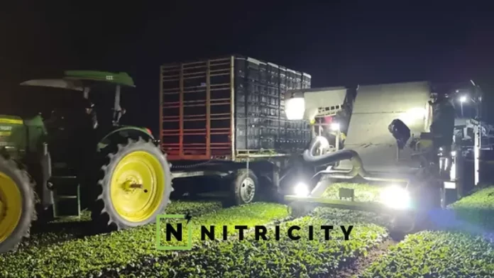 California-based Nitricity Secures Investment from Chipotle Mexican Grill. Funding from Cultivate Next will be used to scale up Nitricity’s production of nitrogen, build out the company’s infrastructure, and support the launch of its first commercial product.