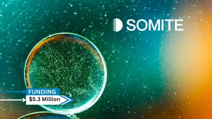 Somite, an AI developer for stem cell biology secures $5.3million in pre-seed funding. TechAviv led the funding round, with participation from Lerer Hippeau, Trust Ventures, Next Coast Ventures, and Texas Venture Partners.