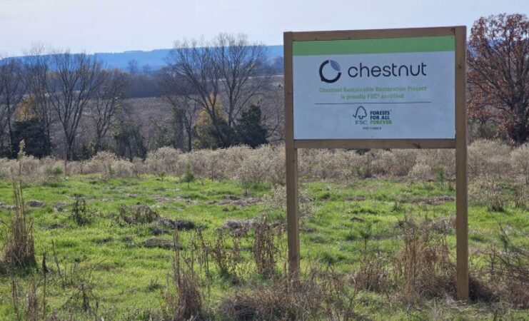 Chestnut Carbon Raises Additional $90M in Series B Funding