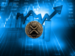 XRP Faces Key $3.38 Resistance, Highlighted as a Crucial Test by TWC CEO