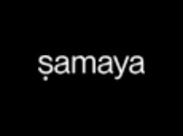 Samaya AI Receives Investment From NVentures and Databricks Ventures