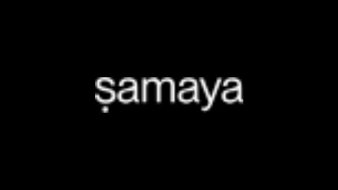 Samaya AI Receives Investment From NVentures and Databricks Ventures