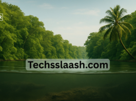 Techsslaash.com