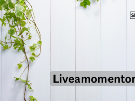 Liveamoment