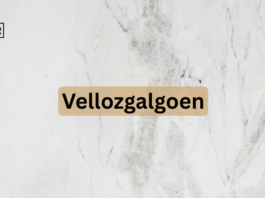 Vellozgalgoen
