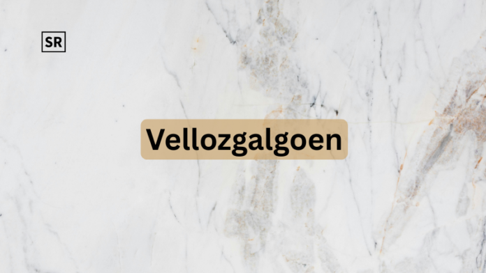Vellozgalgoen