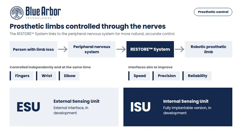 About Blue Arbor Technologies