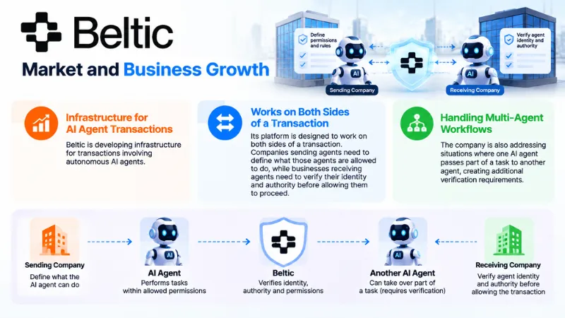 Beltic Market and Business Growth