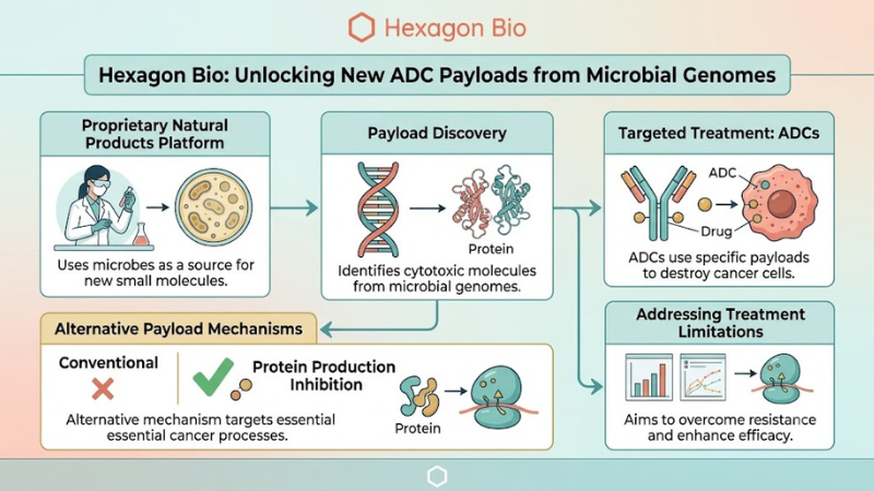 About Hexagon Bio
