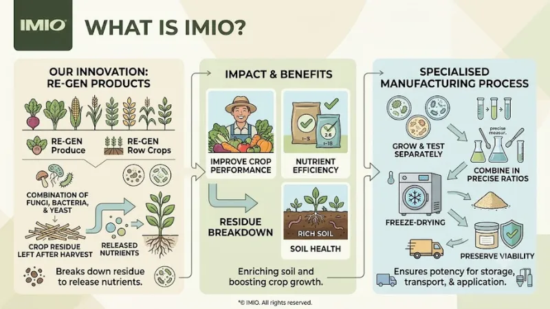 About IMIO 